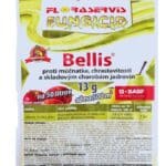 Bellis 13g